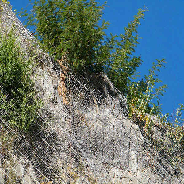 1616392977889638.jpg timg (9)_副本_副本.jpg