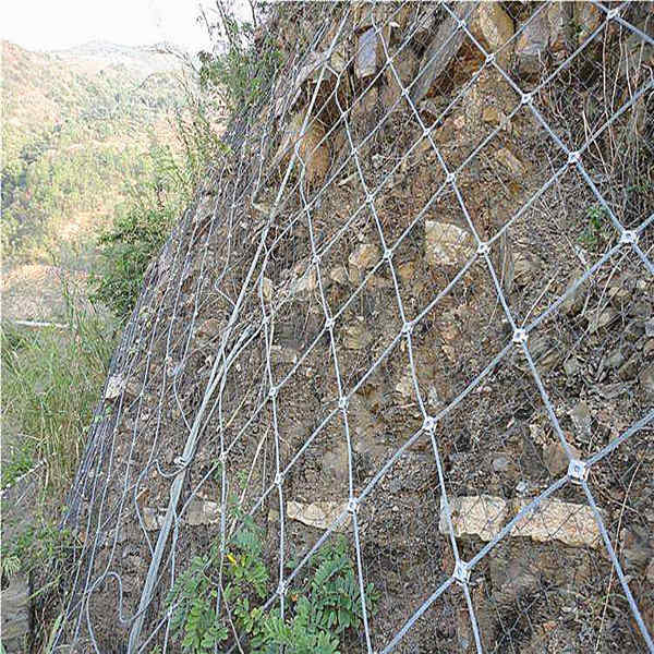 1641522458139485.jpg timg (2)_副本_副本.jpg