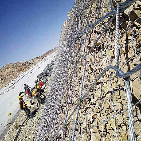 1641522485616483.jpg timg (20)_副本_副本.jpg